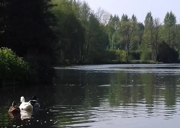 Le Voltaire דירה *